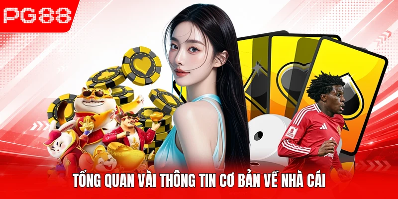 Tổng quan vài thông tin cơ bản về nhà cái